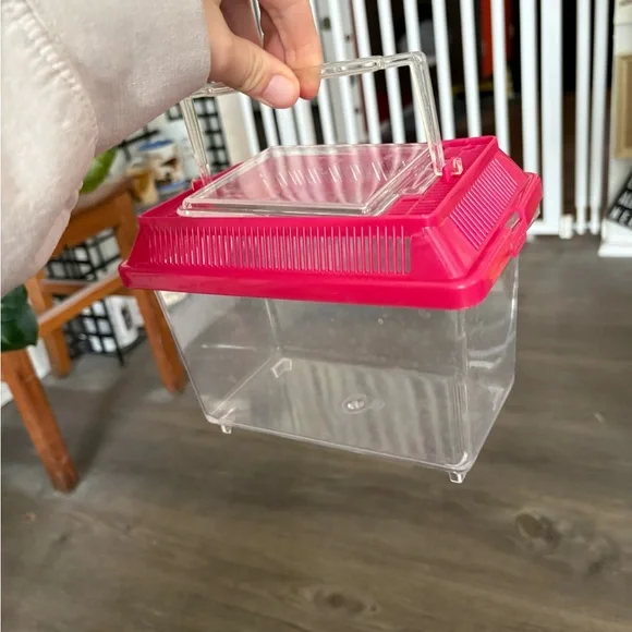 PLASTIC BUG COLLECTION CONTAINER - Picture 2 of 4